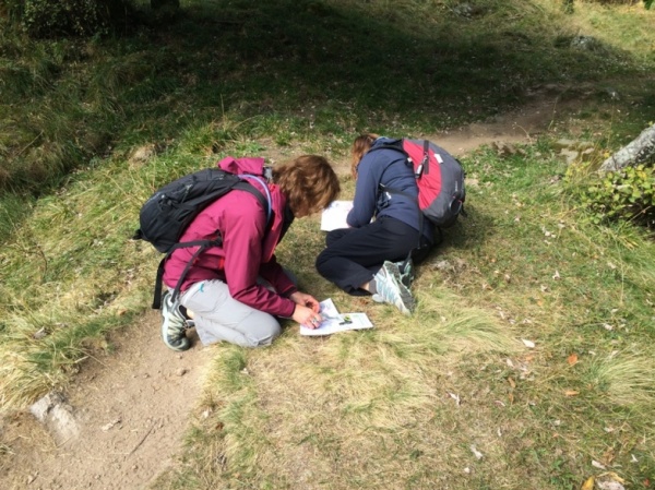 Parcours orientation