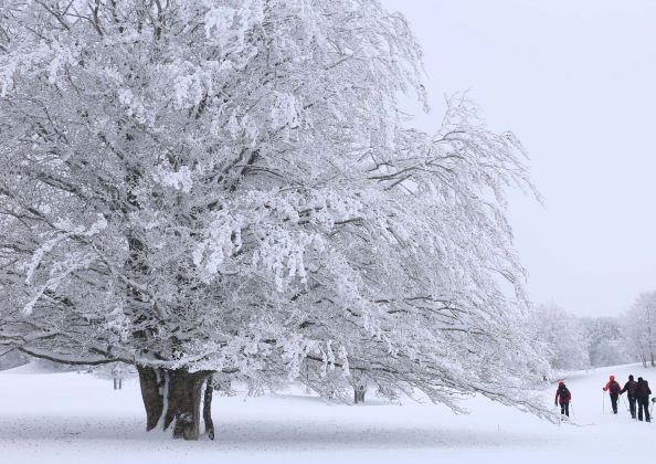 Entre la Vaisse et Montcineyre