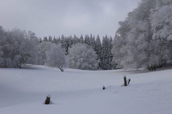 Entre la Vaisse et Montcineyre