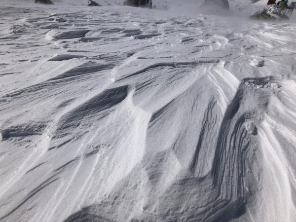 Les vaguelettes sculptées par le vent