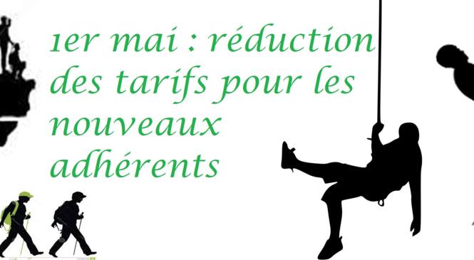 image article