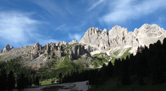 image article